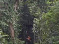 Tn DSC 4317